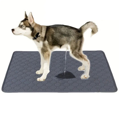Tapete Lavável de Treinamento para Cães