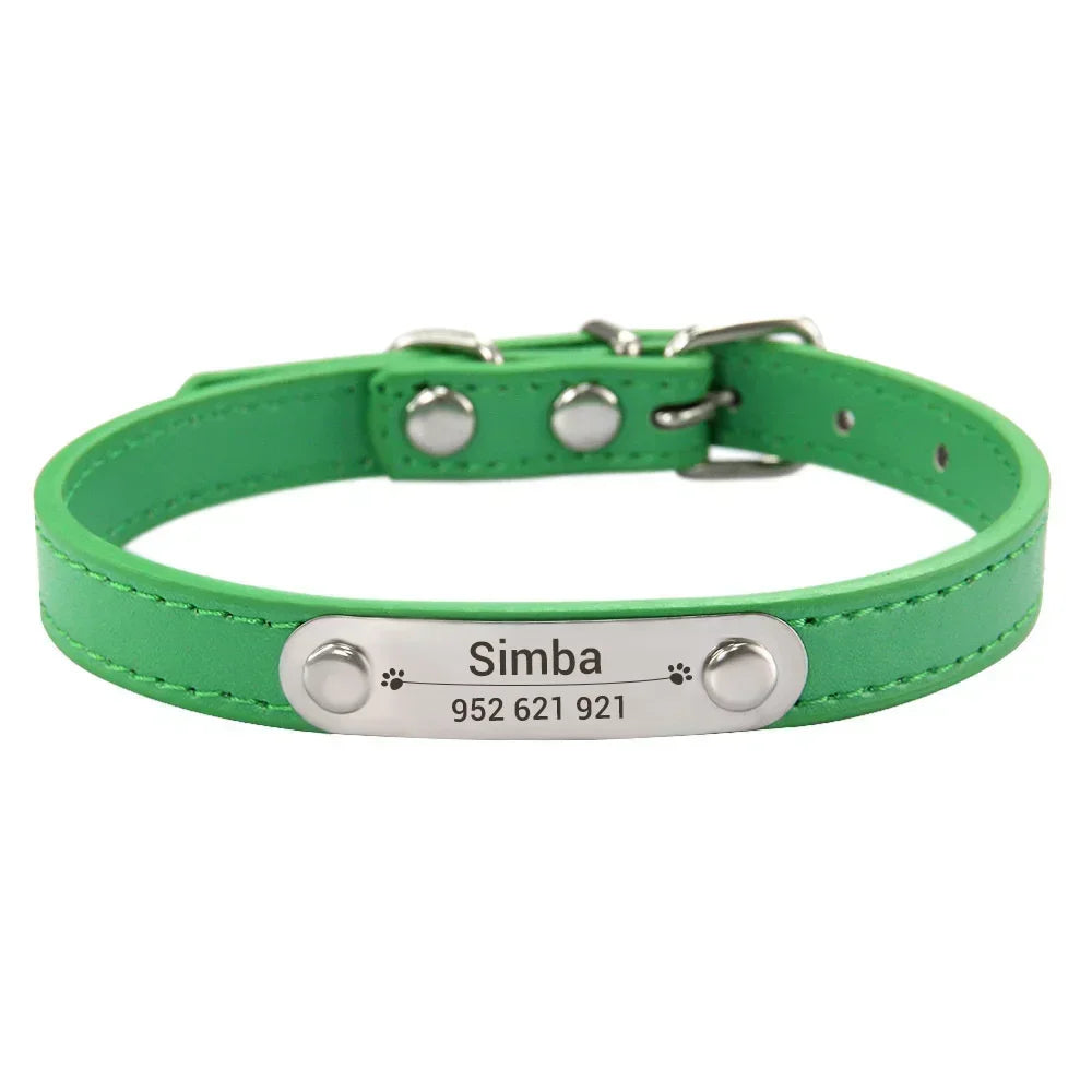 colar de couro personalizado