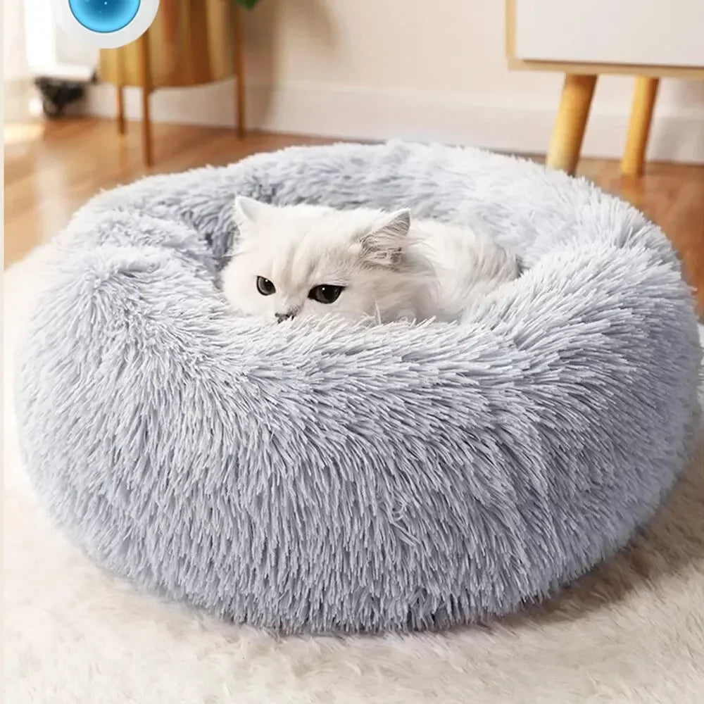 Super Cama de pelúcia - Luupet