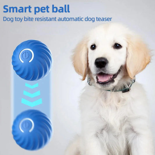 Bola Inteligente com LED – Diversão Infinita para Cães Felizes