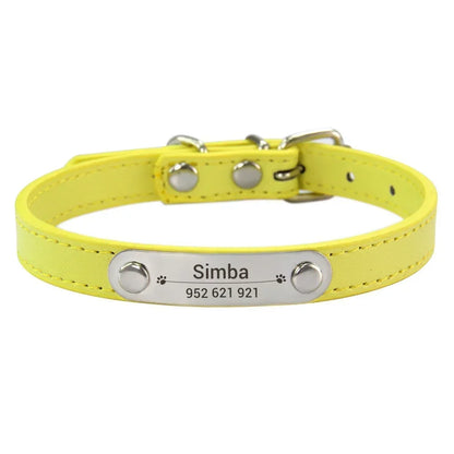 colar de couro personalizado