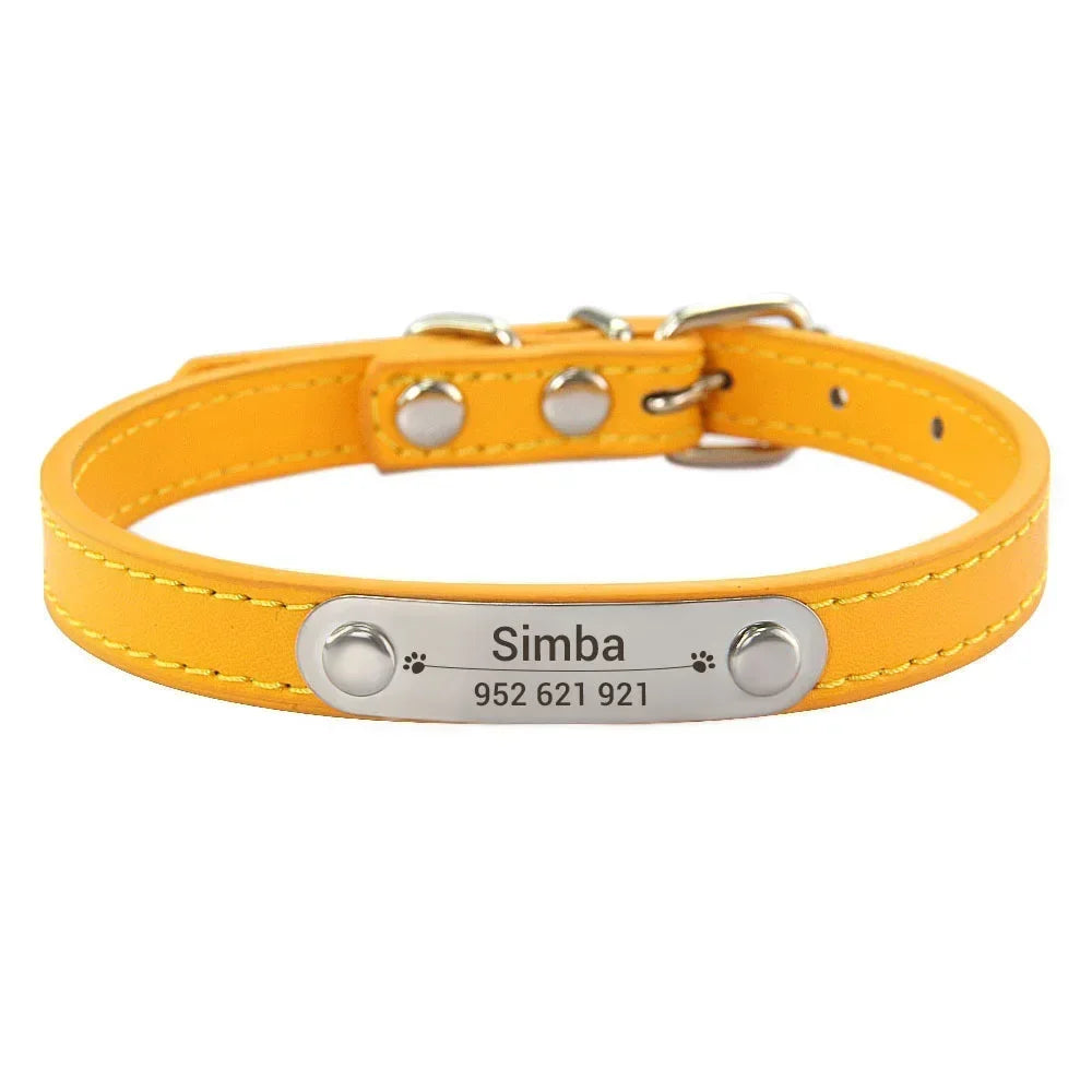 colar de couro personalizado