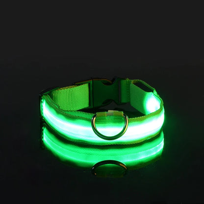 coleira de nylon brilhante - Luupet