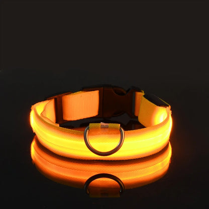coleira de nylon brilhante - Luupet