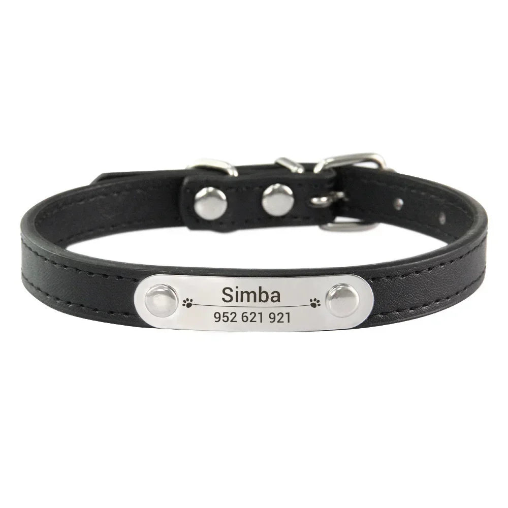 colar de couro personalizado