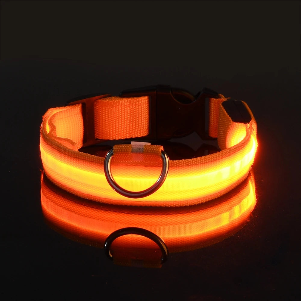 coleira de nylon brilhante - Luupet