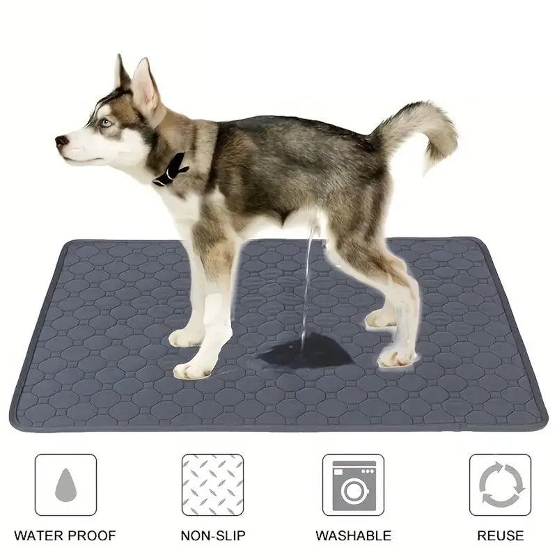 Tapete Lavável de Treinamento para Cães