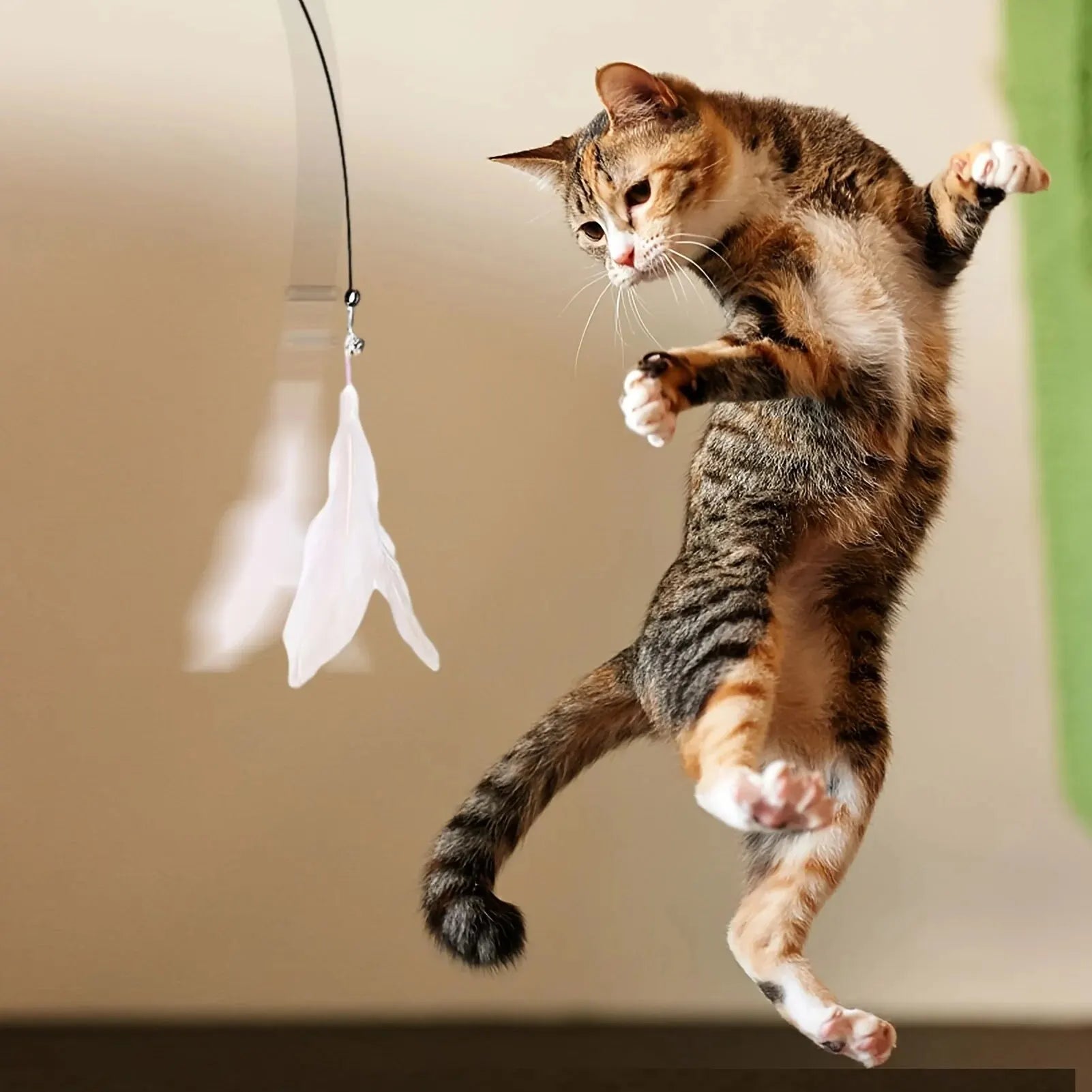 Brinquedo provocador para gatos - Luupet