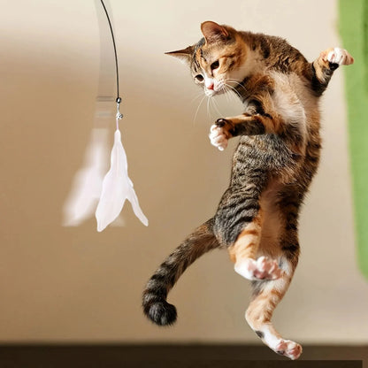 Brinquedo provocador para gatos - Luupet