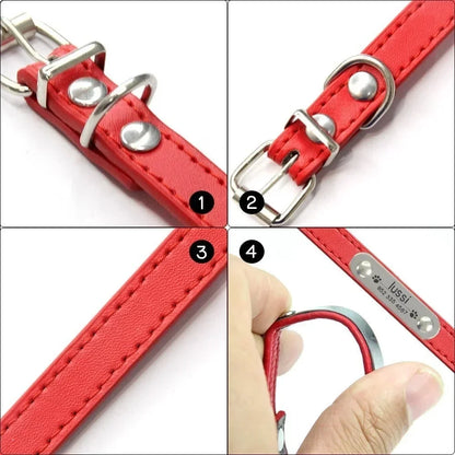 colar de couro personalizado