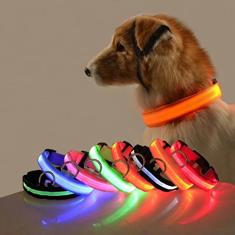 coleira de nylon brilhante - Luupet