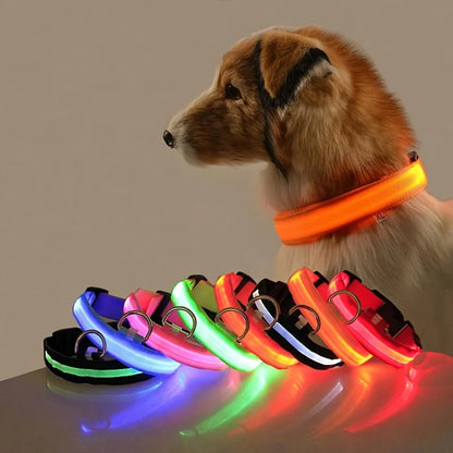 coleira de nylon brilhante - Luupet