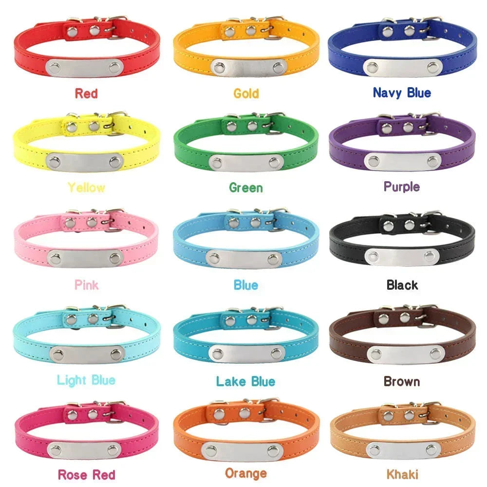 colar de couro personalizado
