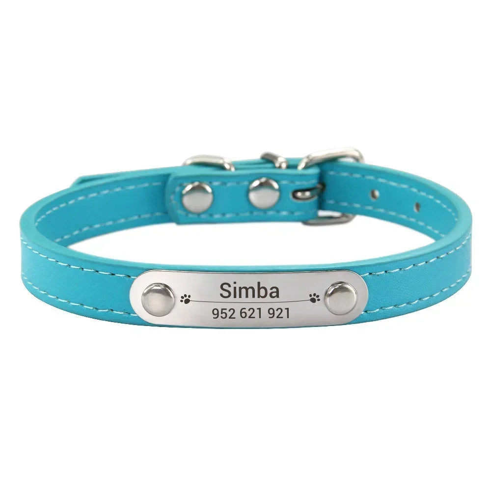 colar de couro personalizado