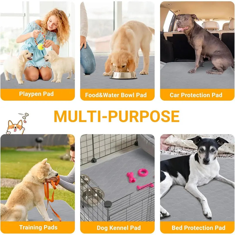 Tapete Lavável de Treinamento para Cães