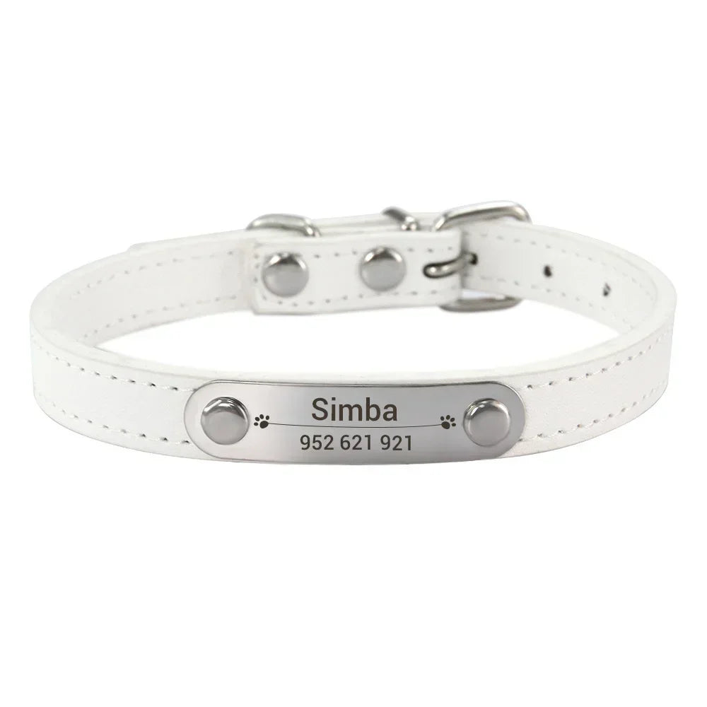 colar de couro personalizado