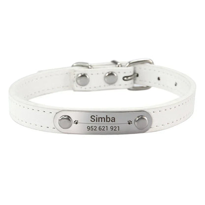 colar de couro personalizado