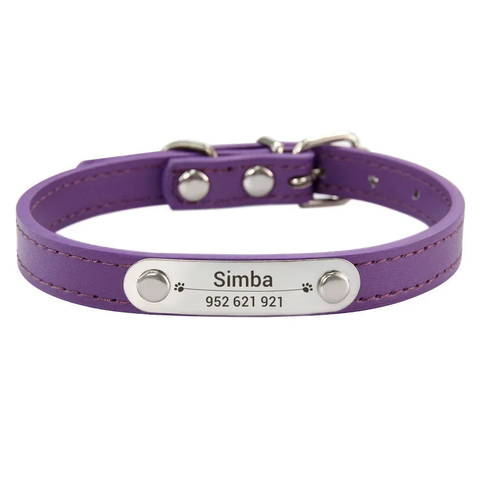 colar de couro personalizado