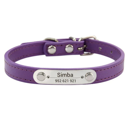 colar de couro personalizado