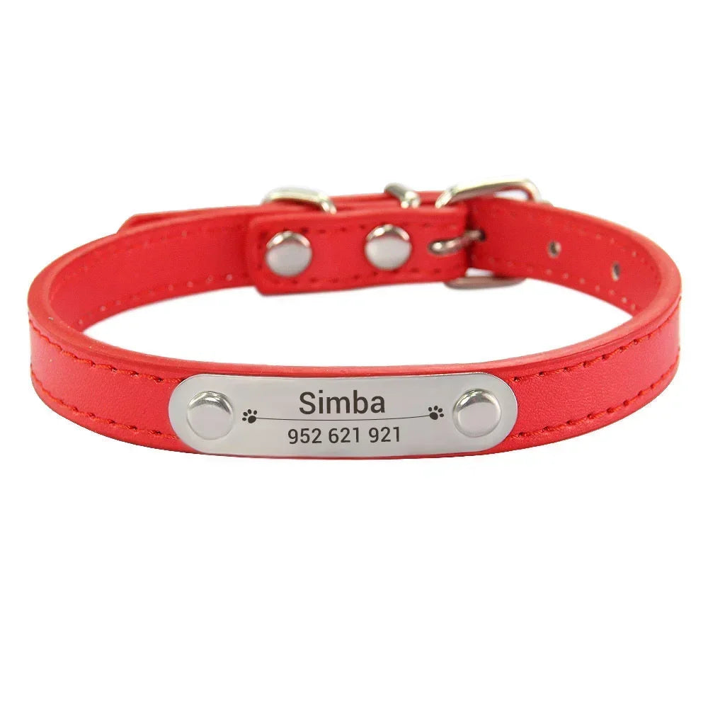 colar de couro personalizado