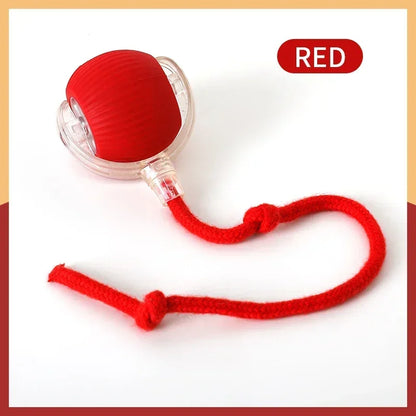 Brinquedo Interativo Rolante com Cauda Falsa e Recarregável