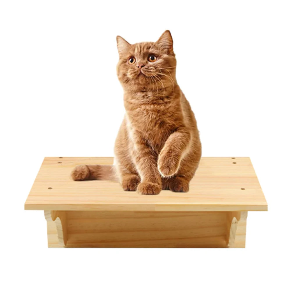 árvore de gato montada na parede de Qlfyuu - Luupet