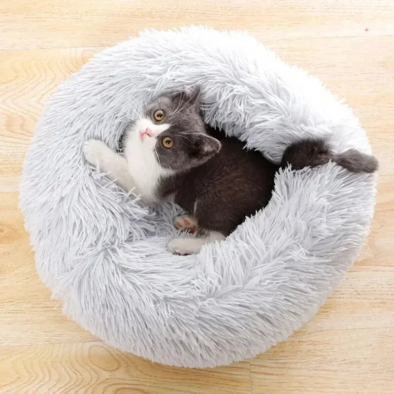 Super Cama de pelúcia - Luupet